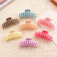 Beau - Pastel Large Hair Claw Clip