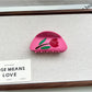 Beau - Cute Flower Shaped Acetate Hair Clip