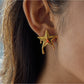 Earedge - Delicate Star Shaped Earrings