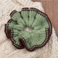Gifty - Cute Knit Color Edge Scrunchie