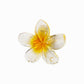 Beau - Vogue Sweet Style Transparent Flower Hair Claw Clip