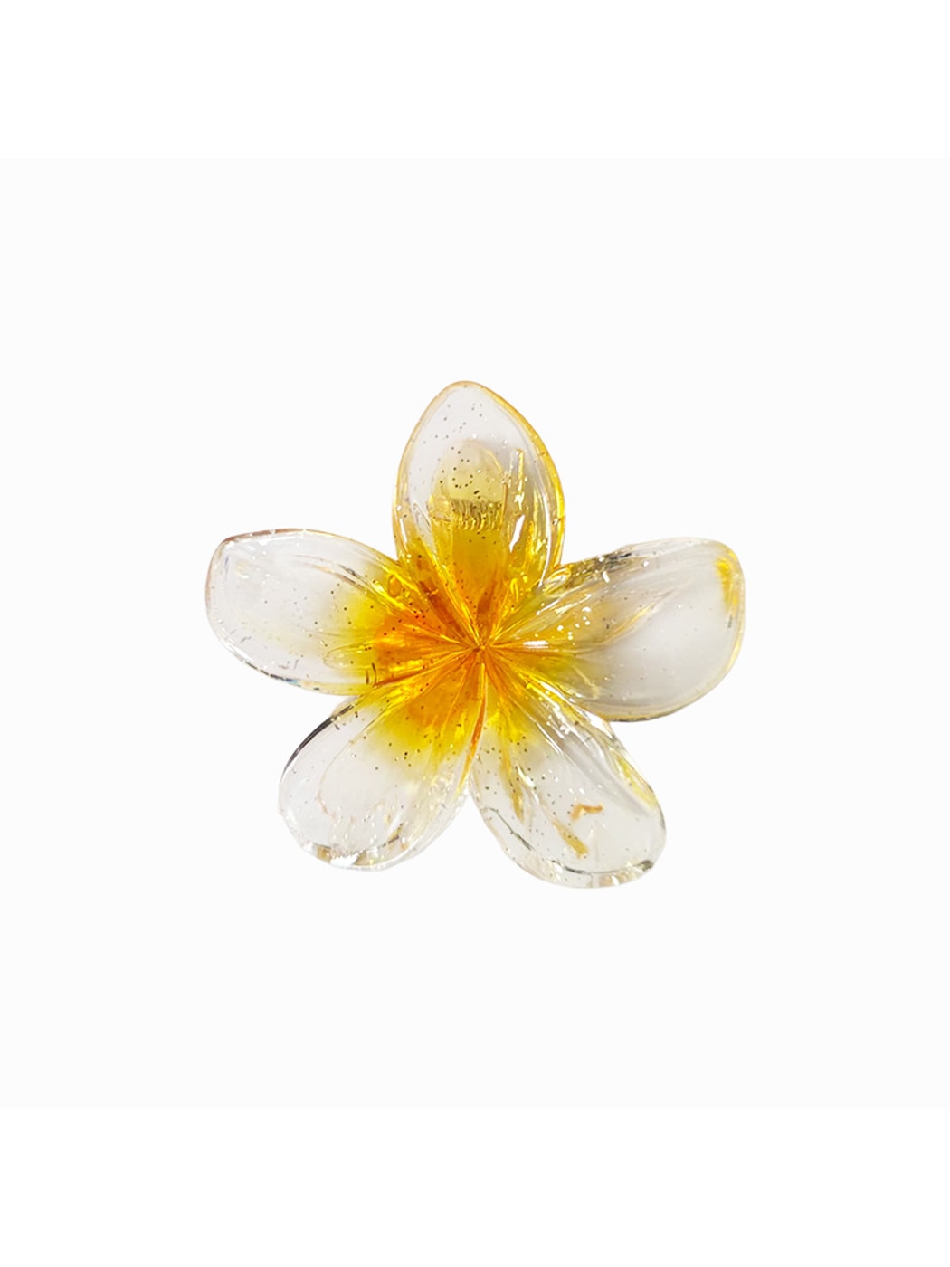 Beau - Vogue Sweet Style Transparent Flower Hair Claw Clip