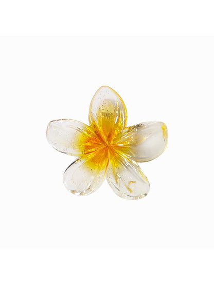 Beau - Vogue Sweet Style Transparent Flower Hair Claw Clip
