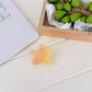 Beau - Sweet Starfish Gradient Gloss Claw Clip