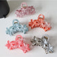 Beau - Transparent Floral Plastic Claw Hair Clip