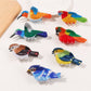 Beau - Cute Animal Bird Hair Clips