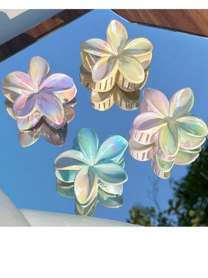 Beau - Ombre Floral Claw Clip
