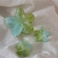Beau - Glossy Jelly Finish Flower Star Claw Clip