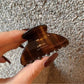 Beau - Beautiful Retro Acetate Hair Clip