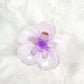 Beau - Glossy Hollow Flower Shape Claw Clip