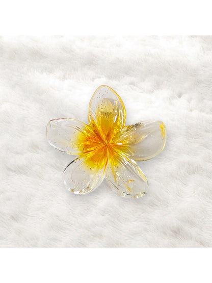 Beau - Vogue Sweet Style Transparent Flower Hair Claw Clip