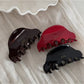 Beau - Beautiful Acetate Fashionable Hair Clip