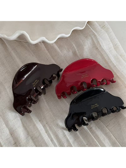 Beau - Beautiful Acetate Fashionable Hair Clip