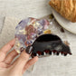 Beau - Acetate Half Circle Fan Shape Claw Clip