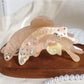 Top view of butterfly hair claw clip showing symmetrical wing design