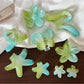 Beau - Glossy Jelly Finish Flower Star Claw Clip