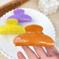 Beau - Flower Pattern Acetate Fiber Hair Claw Clip