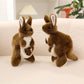 Kuta - Kangaroo Plush Toy
