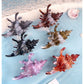 Beau - Colorful Conch Shape Hair Clip
