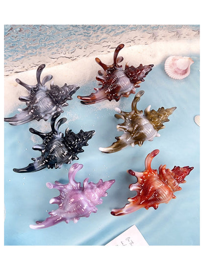 Beau - Colorful Conch Shape Hair Clip
