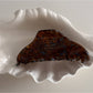 Beau - Irregular Acetate Fiber Glossy Finish Claw Clip