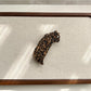 Beau - Cute Leopard Hair Clip