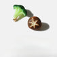 Beau - Fun Vegetable shaped Hair Clips
