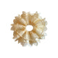 Beige lace-trimmed tulle scrunchie styled on a wooden surface