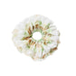 Gifty - Elegant Mesh Edge Double Layer Scrunchies