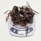 Gifty - Vintage Plaid Bow Ruffled Fabric Scrunchie