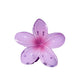 Beau - Bright Flower Shaped Glossy Claw Clip