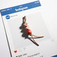 Keypus - Retro Asymmetric Beaded Keychain