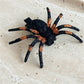 Beau - Halloween Spider Themed Glitter Hair Clip