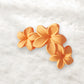 Beau - Five Petal Modern Minimalist Flower Claw Clip