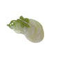 Beau - Unique Cute Gourd Hair Clip