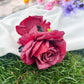 Beau - Sweet Style Rose Design Claw Clip
