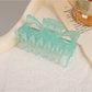 Beau - Jelly Color Transparent Claw Clip