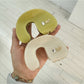 Beau - Chic Curved Acetate Hair Clip