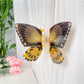 Beau butterfly hair claw clip resting on wooden surface