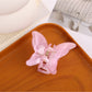 Beau - Colorful Pretty Hair Clip
