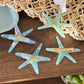 Beau - Cute Starfish Acrylic Hair Clip