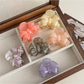 Beau - Glossy Bow Shape Acetate Fiber Claw Clip